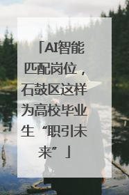 AI智能匹配岗位，石鼓区这样为高校毕业生“职引未来”