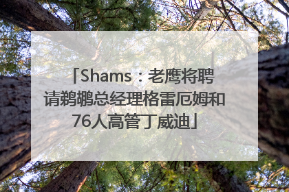 Shams：老鹰将聘请鹈鹕总经理格雷厄姆和76人高管丁威迪
