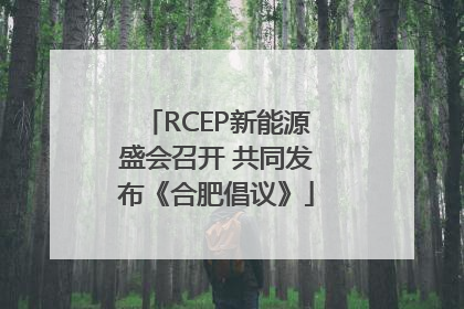 RCEP新能源盛会召开 共同发布《合肥倡议》