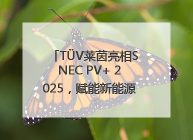 TÜV莱茵亮相SNEC PV+ 2025，赋能新能源产业高质量发展